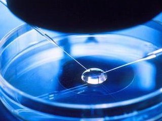 江西人工授精成功率高吗？