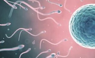 移植一个5AA囊胚怀孕后宝宝会有染色体问题吗？