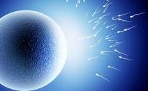 潍坊附属医院生殖中心试管成功率如何提升？怎样改变？