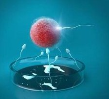 60岁高龄试管成功案例分析后遗症才是难题？