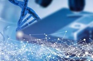 沈阳地区有哪些私立的机构可以做试管技术？孕妇高铁进站时可以拒绝扫安检棒吗？