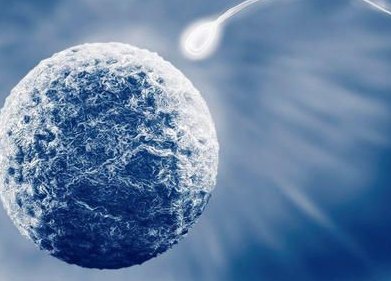 江苏私立机构做三代试管婴儿总共费用多少？