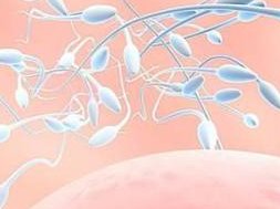 宜昌地区有哪些私立的机构可以做试管技术？高龄女性3代试管移植的必须都是冻囊胚吗？