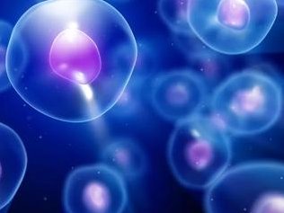 马鞍山市人民医院试管婴儿成功率有50%吗？